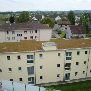 Neubau Mehrfamilienhaus Bürglen